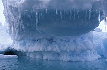 Iceberg with attached icicles, Antarctica