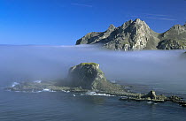 Coastal fog hugs cliffs along Elsehul Bay, South Georgia Island
