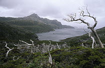 Cape Horn National Park honors a notorious landmark at the southern tip of South America, Patagonia, Argentina