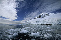 Antarctic Peninsula surrounds icebergs in Lemaire Channel, Antarctica