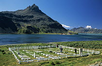 Tourists viewing cemetery at Grytviken, an abandoned whaling station, South Georgia Island