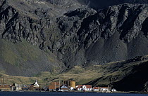 Houses and church at abandoned whaling station, Grytviken, South Georgia