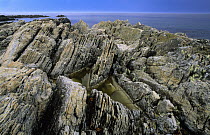 Rocky coastline along Cape Pembroke, East Falkland Island, Falkland Islands