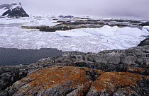 Overlooking lichen-covered rocks and ice floes, Lemaire Channel, Antarctica