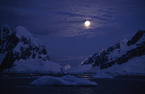Full moon over icebergs, Lemaire Channel, Antarctica