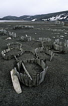 Discarded barrels at abandoned whaling station, Whaler's Bay, Deception Island, South Shetland Islands