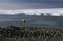 Chinstrap Penguin (Pygoscelis antarctica) colony with sailboat, Hannah Point, Livingston Island, South Shetlands Islands