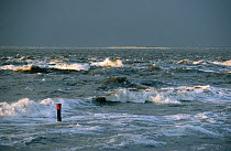 Stormy sea off of Texel Island, one of the Dutch Wadden Islands, Netherlands