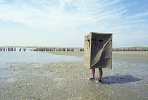 Photographer walking on mud-flats with hide, Wadden Sea, Netherlands