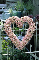 Heart-shaped bouquet of pink roses on gate, Europe