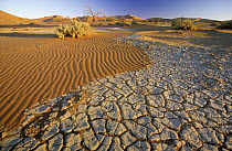 Cracking dirt and dunes, Namib Desert, Namibia