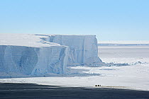 Emperor Penguin (Aptenodytes forsteri) group with large striated iceberg, Scotia Sea, Antarctica