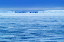 Ice field, Antarctica