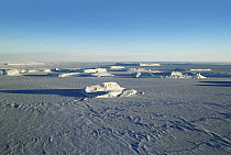 Icefield, Antarctica