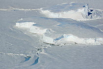 Icefield with Emperor Penguins (Aptenodytes forsteri), Riiser-Larsen Ice Shelf, Antarctica