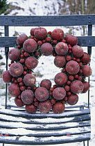 Frosted wreath of apples and fruit on chair in snow, Europe