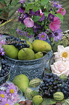 Still life with wildflowers, pears and grapes, Europe