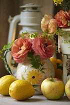 Ranunculus flowers in vase with fruit still life, Europe
