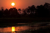Sunset over the Okavango Delta, Botswana