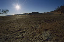 Sun baking dry, cracked earth, Namib Desert, Namibia