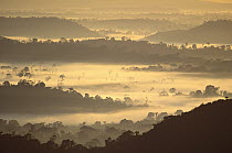 Dawn in the Amazon forest with intense evaporation, Amazon ecosystem, Brazil
