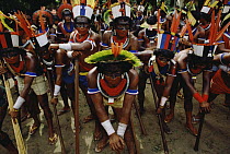 Caiapo Indian group in traditional ceremonial costume, south Amazon ecosystem, Brazil