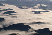 Morning fog over Atlantic Forest ecosystem, Brazil
