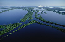 Anavilhanas archipelago in the middle of the Rio Negro River, 24 kilometers wide at this point, Amazon ecosystem, Brazil