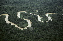 Meandering river in forest, Amazon, Brazil