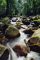 Stream cascading through tropical forest, Atlantic Forest ecosystem, Brazil