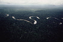 Aerial view of meandering river in the Amazon forest, Amazon ecosystem, Brazil