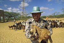 Waiu Indian holding a baby goat, largest surviving tribe in Colombia