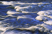 Gibbon River rapids, Yellowstone National Park, Wyoming