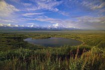 Glacial kettle pond with Alaska Range and Mount McKinley in distance, Denali National Park and Preserve, Alaska
