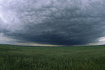 Dark cumulus clouds hanging over fields in summer, Wyoming