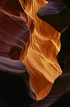 Sandstone walls of slot canyon are gouged, sculpted, and polished by rushing underground rivers and sand particles, Arizona