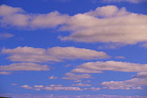 Cumulus clouds near Wright Pass, autumn, Northwest Territory, Canada