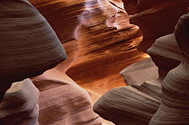Slot Canyon sculpted by rushing water, sand, boulders and frost, Arizona