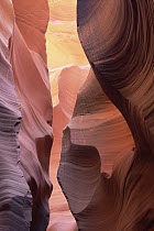 Slot Canyon shaped by sand, boulders and rushing water, Arizona