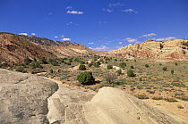 Chinle formation showing clearly defined layers of sandstone, Grand Staircase-Escalante National Monument, Utah
