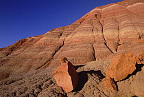 Boulders with sandstone ridge in background, Chinle formation showing clearly defined layers, Grand Staircase-Escalante National Monument, Utah