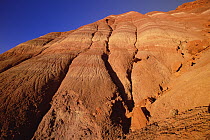 Layered sandstone ridge beginning to erode, Chinle formation, Grand Staircase-Escalante National Monument, Utah
