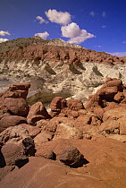 Erosion sculpted, petrified sand dunes, Canyon Cliffs, boulders and hoodoos, desert near Paria River, Grand Staircase-Escalante National Monument, Utah