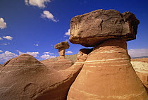 Toadstool Caprocks created by erosion, near Paria River, Grand Staircase-Escalante National Monument, Utah