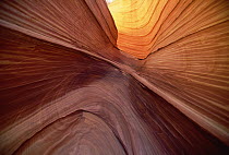 Small canyon carved by water showing colorful patterns of sandstone lines and ridges, Vermilion Cliffs National Monument, Colorado Plateau, Utah