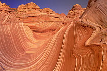 Colorful sandstone, with strong pattern of wavy lines exposed by erosion, Vermilion Cliffs National Monument, Colorado Plateau, Utah