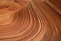 Colorful sandstone with strong pattern of wavy lines exposed by erosion, Vermilion Cliffs National Monument, Colorado Plateau, Utah