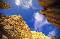 View from canyon floor looking up at towering sandstone walls, Bryce Canyon National Park, Utah