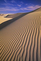 Gypsum sand dunes in the evening light, patterns and ridges caused by wind, White Sands National Park, New Mexico