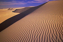 Gypsum sand dunes in the evening light, patterns and ridges caused by wind, White Sands National Park, New Mexico
